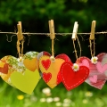 לאהוב את השנאה