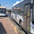 "השינויים בקווי התחבורה הציבורית פוגעים בותיקי השכונה"