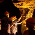 י-ם של פסטיבלים