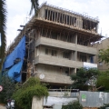 העקשנות לא משתלמת