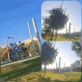 ילדים ומשפחות מבלים בפארק ירמות בשמש הקופחת ללא סככות הצללה
