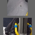 התנהגות מבזה ולא מכבדת של בני נוער בתחבורה הציבורית: