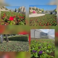 העירייה תישתול כ-150 אלף שתילים ברחבי העיר: