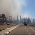 לוחמי אש פועלים בשריפת יער בנחל האלה: