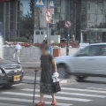 מי לא אומר כן לזקן?